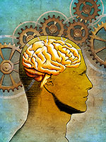 Right Side Of The Brain